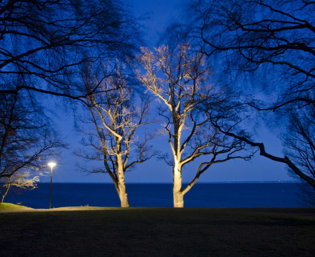Hjo park- Ambient ljusdesign  Utsikt